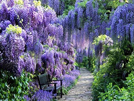 EGD Gardening Day 18-05-2019 It's a volunteer gardening day this Saturday. All welcome...